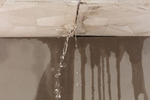 Professional Burst Pipe Cleanup technician working in Paris, KY